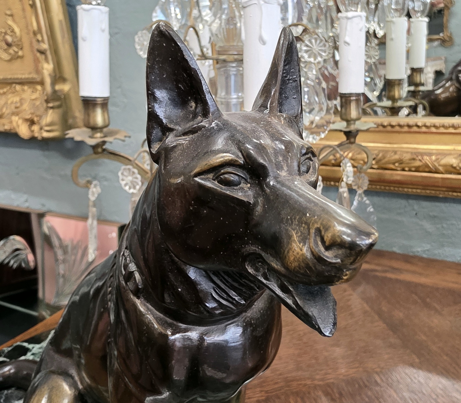 A French Alsatian Dog A French Alsatian Dog
